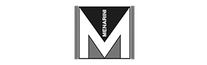 Logo de Menarini